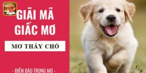 Mơ Thấy Chó Con Là Điềm Gì? Con Số Nào Mang Lại May Mắn 
