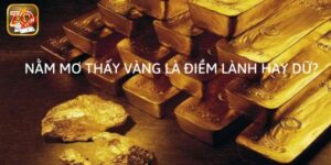 Mơ Thấy Vàng Có Ý Nghĩa Gì? Con Số Nào May Mắn Cho Mọi Anh Em